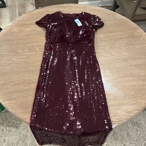 Ann Taylor Sparkly Maroon Dress